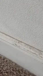 Vapurite SteamPro X - Image 4