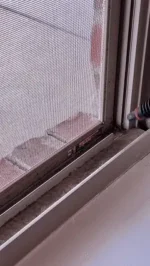 Vapurite SteamPro X - Image 3