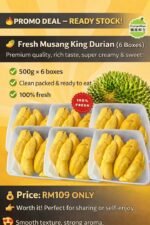 【Ready Stock】Fresh Musang King Durain pulp | Vacuum seal | 新鲜猫山王果肉
